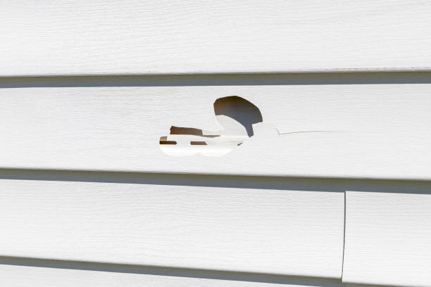 Best Hoarding Cleanup  in Seymour, IN